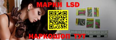 mdpv Краснознаменск