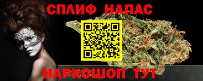 прущие грибы Краснодар