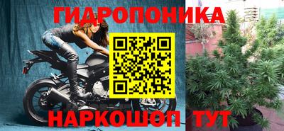 прущие грибы Краснодар